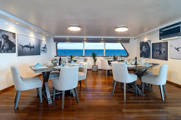 galapagos-horizon-dining1